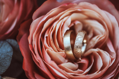 Rose und Ringe